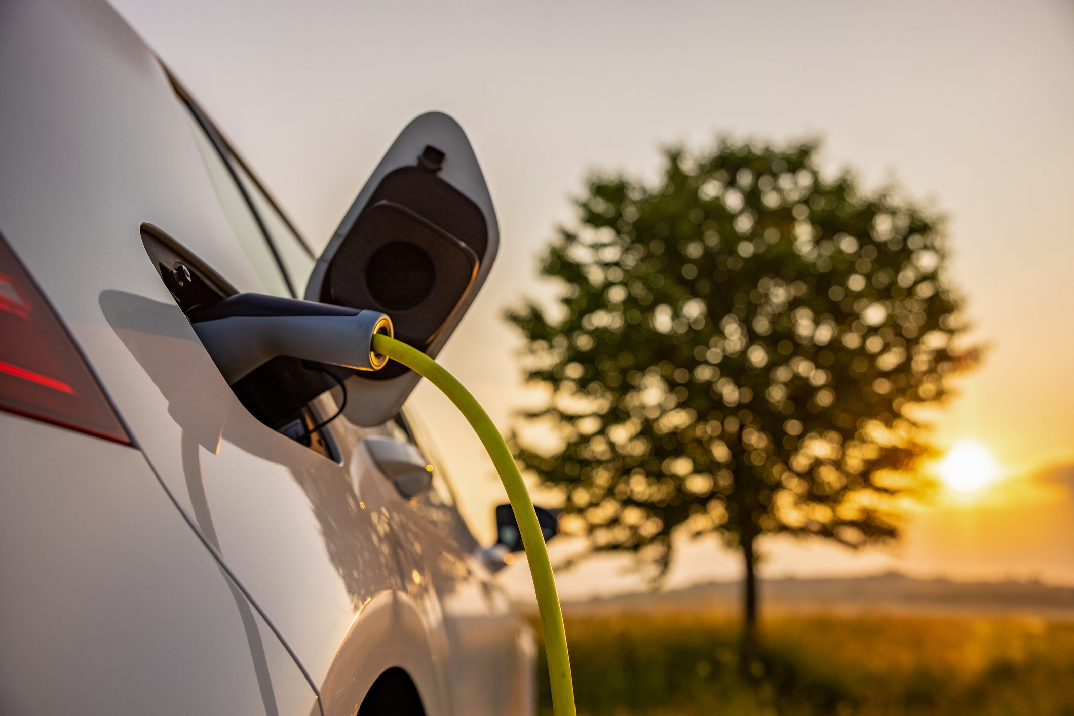 Close-up of an electric car being charged with a yellow cable at sunset, with a tree and fields in the background.